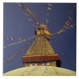 Nepal, Kathmandu. Unter Gebetsfahnen, wachsam Fliese