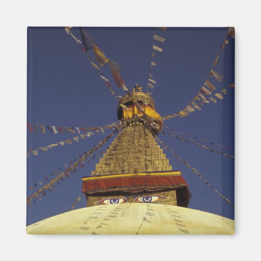 Nepal, Kathmandu. unter Gebetsfahnen, wachsam Magnet (Vorne)