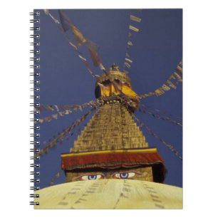 Nepal, Kathmandu. Unter Gebetsfahnen, wachsam Notizblock