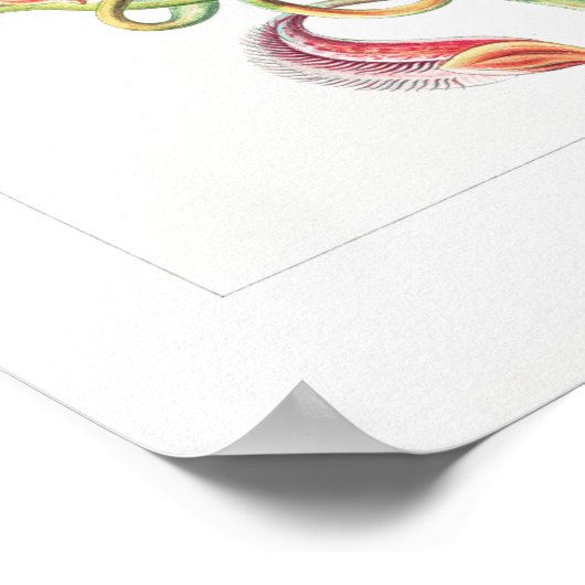 Nepenthes Art Prints Poster (Ecke)