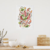 Nepenthes Art Prints Poster (Küche)