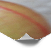 Nepenthes Danger Poster (Ecke)