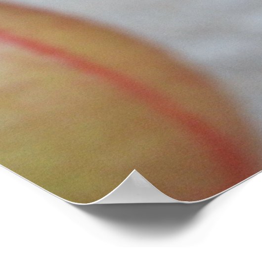 Nepenthes Danger Poster (Ecke)