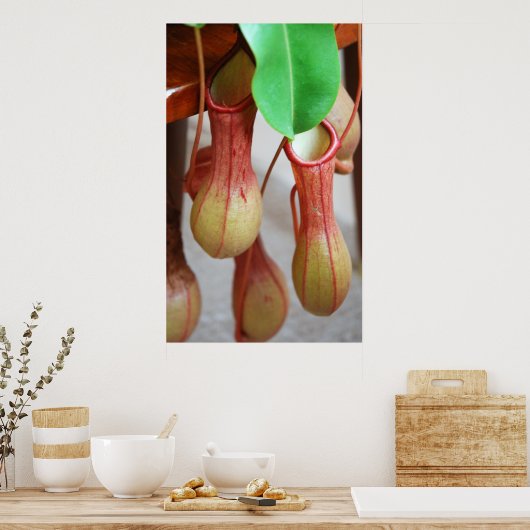 Nepenthes Danger Poster (Küche)