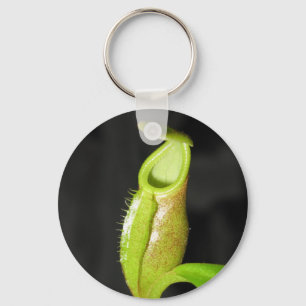 Nepenthes diatas schlüsselanhänger
