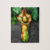 Nepenthes, Illustration der Pitcher-Pflanze Puzzle (Vertikal)