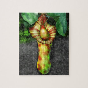 Nepenthes, Illustration der Pitcher-Pflanze Puzzle