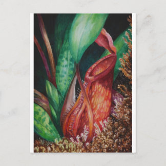 Nepenthes of Borneo Watercolor Art Postkarte