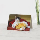 Nephew Happy Birthday Kitten mit Toy Tiger Karte (Rückseite)