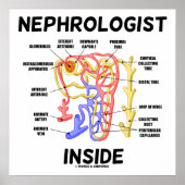 Nephrologe Inside Kidney Nephron Poster (Vorne)