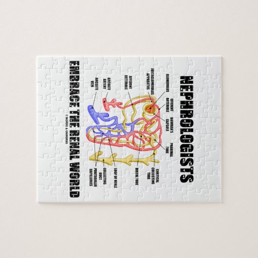 Nephrologen verkörpern die Renale Welt (Nephron) Puzzle (Horizontal)