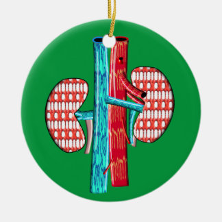 Nephrologie Künstlerisches Nierendesign Keramik Ornament