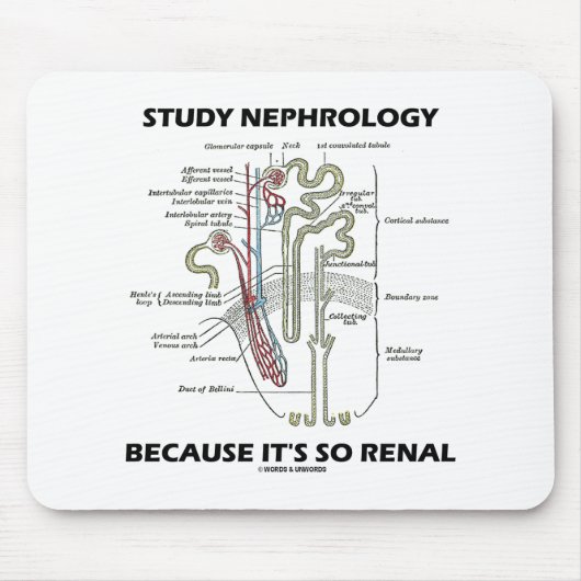 Nephrologie studieren, weil es so ein Nieren-Nephr Mousepad (Vorne)