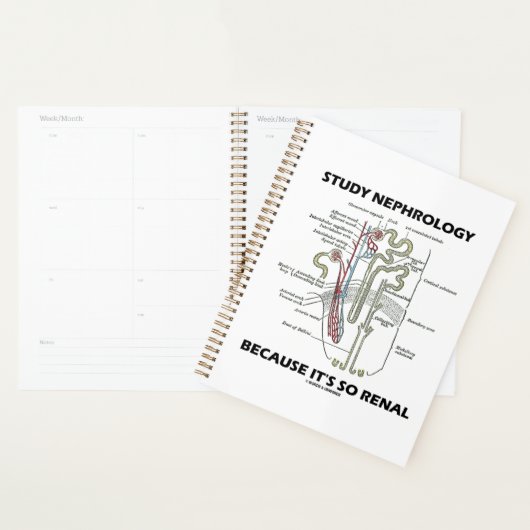 Nephrologie studieren, weil es so ein Nieren-Nephr Planer (Anzeige)