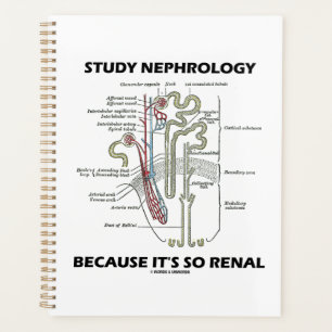 Nephrologie studieren, weil es so ein Nieren-Nephr Planer