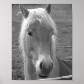 Neptun Poster (Vorne)