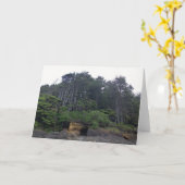 Neptune Staat Park, OR Karte (Gelbe Blume)