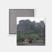 Neptune Staat Park, OR Magnet (Vorderseite/Rückseite)