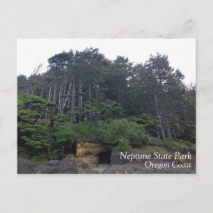 Neptune Staat Park, OR Postkarte