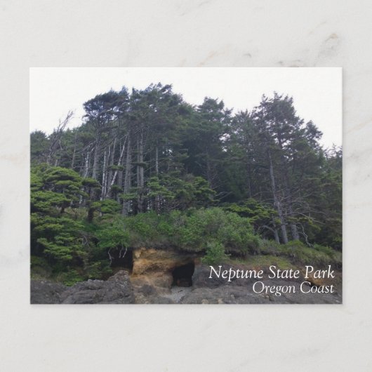 Neptune Staat Park, OR Postkarte (Vorderseite)