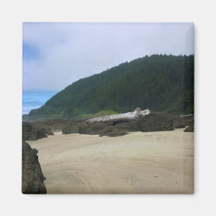 Neptune State Park, OR Magnet