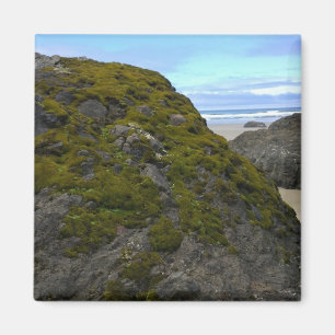 Neptune State Park, OR Magnet