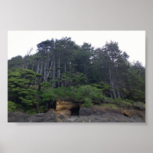 Neptune State Park, OR Poster (Vorne)