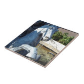 Neptun's Pferd, Plaza Fountain Detail Fliese (Seite)