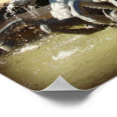 Nepune Fountain Poster (Ecke)