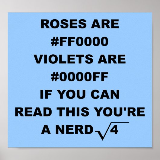 Nerd Geek Poetry Funny Poster Sign (Vorne)