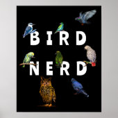NERD, Papageien, Eule, Tauben, Kookaburra Poster (Vorne)