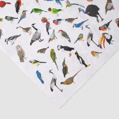 Nerd Seidenpapier (Ausschnitt)