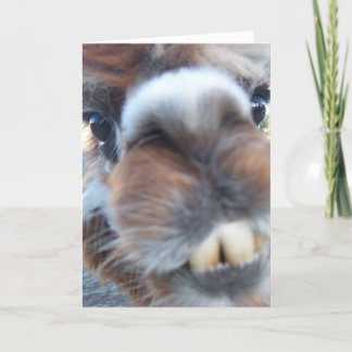 Nerdy Llama Karte