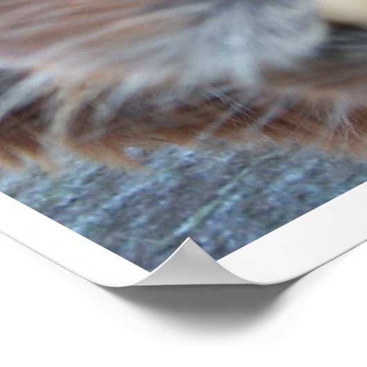 Nerdy Llama Poster (Ecke)