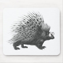 Nerdy Stachelschwein