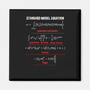 Nerdy Standard Model Equation - Geschenk für Physi Magnet
