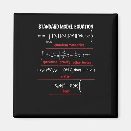 Nerdy Standard Model Equation - Geschenk für Physi Magnet (Vorne)