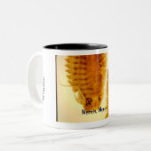 Nereis, Nereis Tasse (Vorderseite Links)