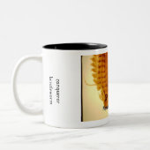 Nereis, Nereis Tasse (Links)