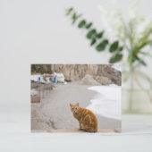 Nerja Màlaga Andalusien Spanien Postkarte (Stehend Vorderseite)