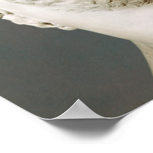 Nero-Büste Poster (Ecke)