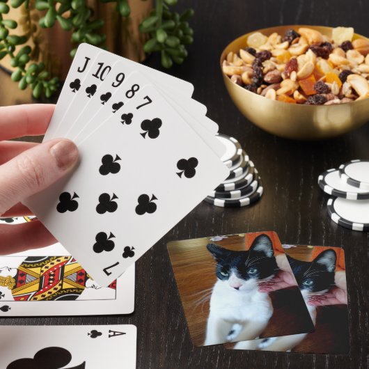 Nero die Katze Spielkarten (In Situ)