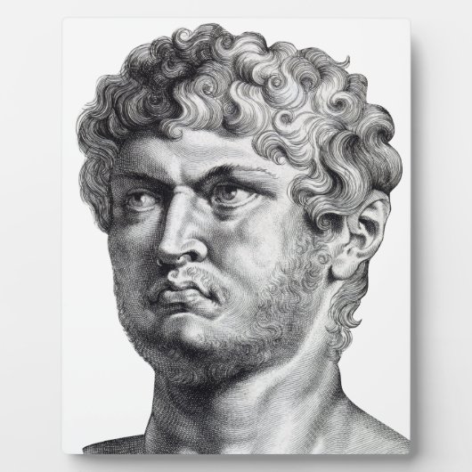 Nero Fotoplatte (Vorderseite)