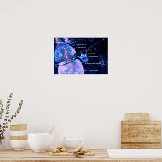 Nerve Synapse Poster (Küche)