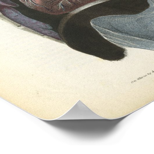 Nerven der Brustanatomie Print Poster (Ecke)