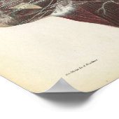 Nerven der Neck Anatomy Print Poster (Ecke)