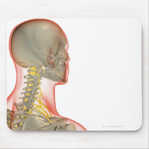 Nerven des Halses 2 Mousepad