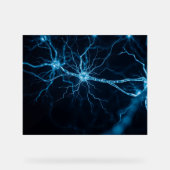 Nervensystem Acrylschild (Vorderseite)