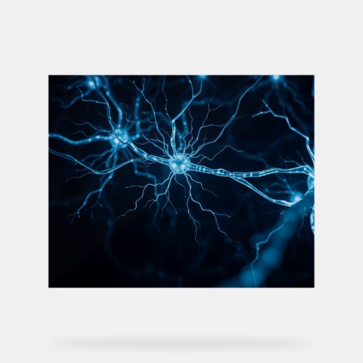 Nervensystem Acrylschild (Vorderseite)