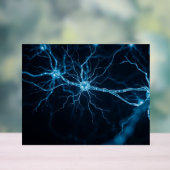 Nervensystem Acrylschild (Neutral)